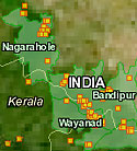 Firemap: Feb 1-15, 2009 firemap