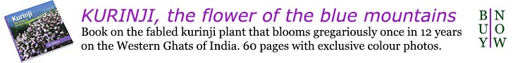 Book on kurinji, the flower
of the blue mountains